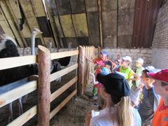 Экскурсия на фермерское хозяйство «КозелужьеАгро»